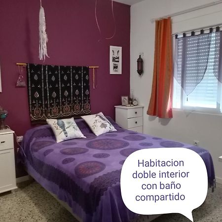 Apartamento lo flamenc @Amposta Exterior foto